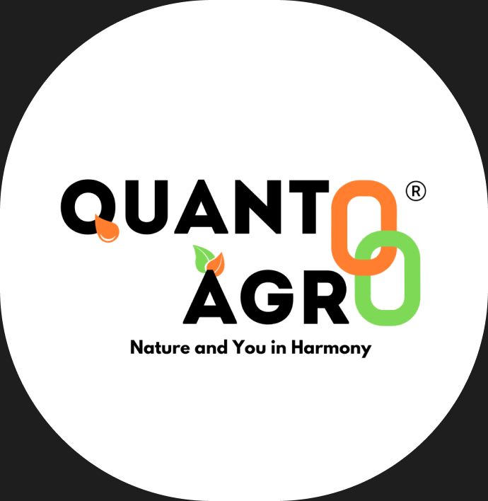 Quanto Agroworld Limited Share Price